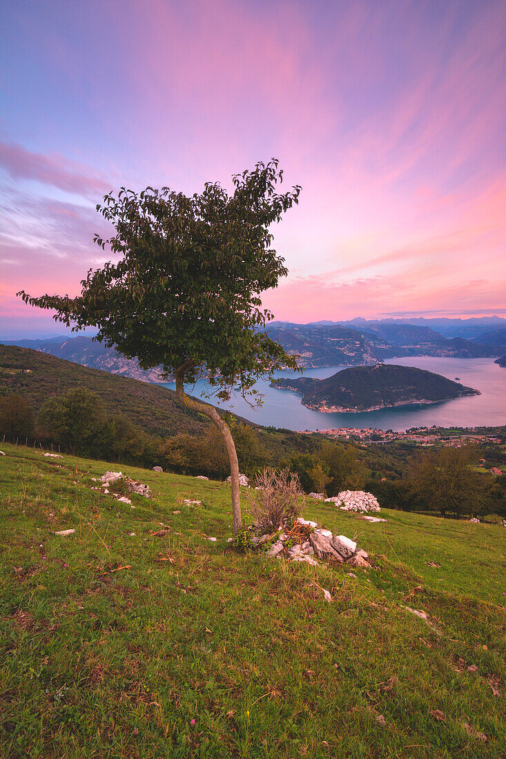 Iseo lake, Brescia province, Lombardy district, Italy, Europe