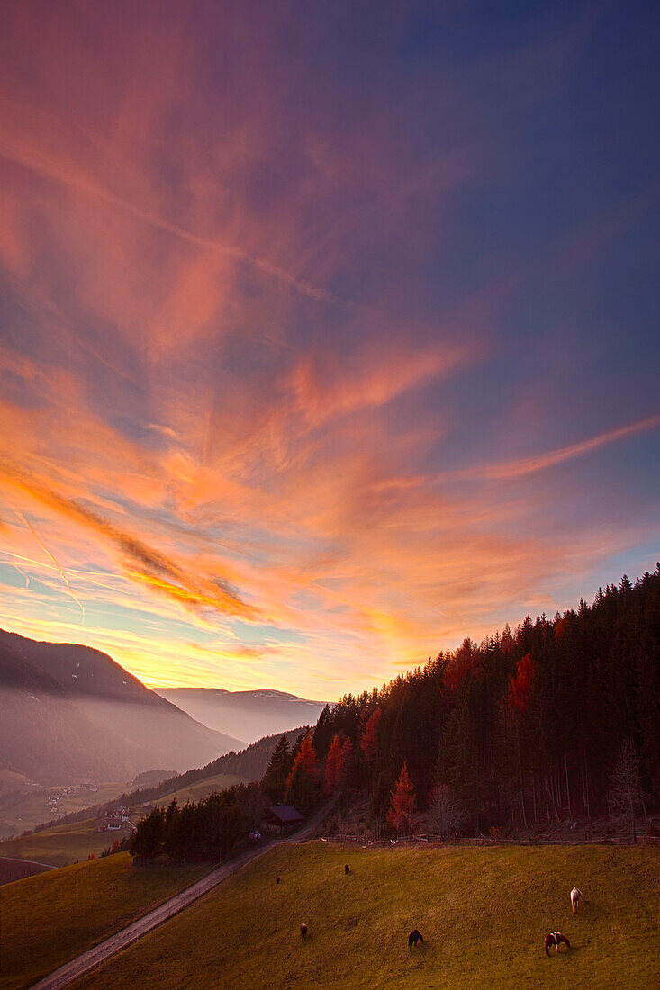 Val di Funes, Dolomites, Trentino Alto Adige, Italy, Europe