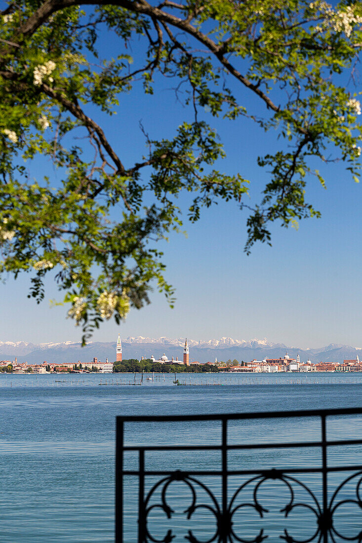 Venice and the Dolomites, view from Lido, Venice, Veneto, Italy