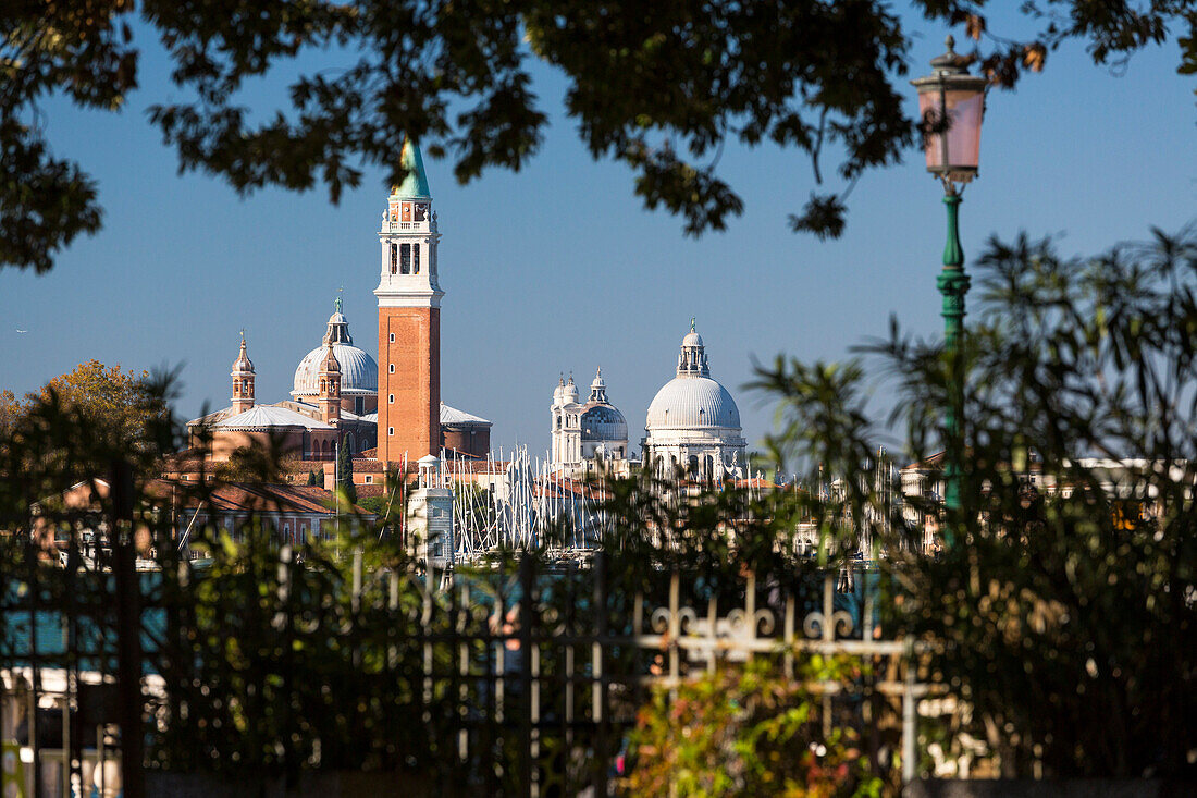 Blick auf die Kirche von San Giorgio Maggiore und die Basilika Santa Maria della Salute von Giardini Venedig Venetien Italien Europa