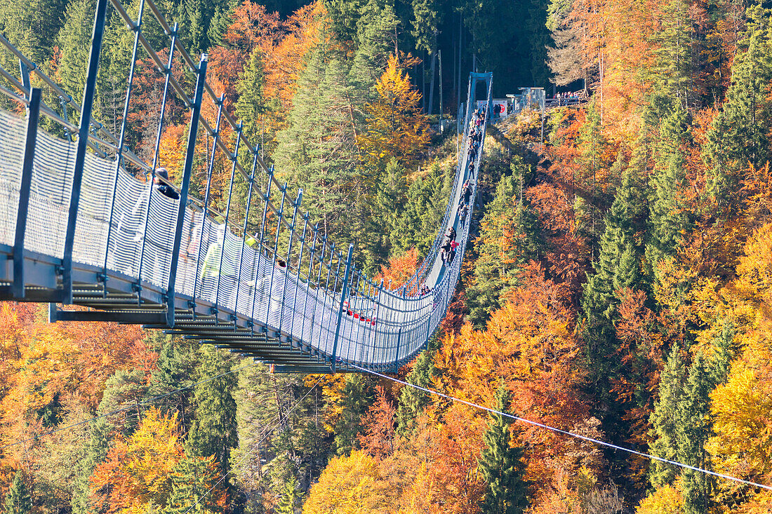 Touristen auf der Hängebrücke namens Highline 179 umrahmt von bunten Wäldern im Herbst Ehrenberg Schloss Reutte Österreich Europa