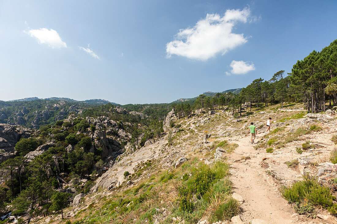 Hikers surrounded by woods in the Nature Park of the L'Ospedale mountain Piscia Di Gallo Zonza Southern Corsica France Europe