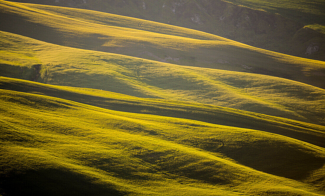 Asciano, Crete senesi, Tuscany, Italy