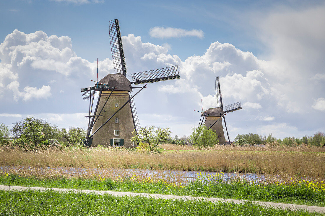 Windmühlen in Kinderdijk, Niederlande