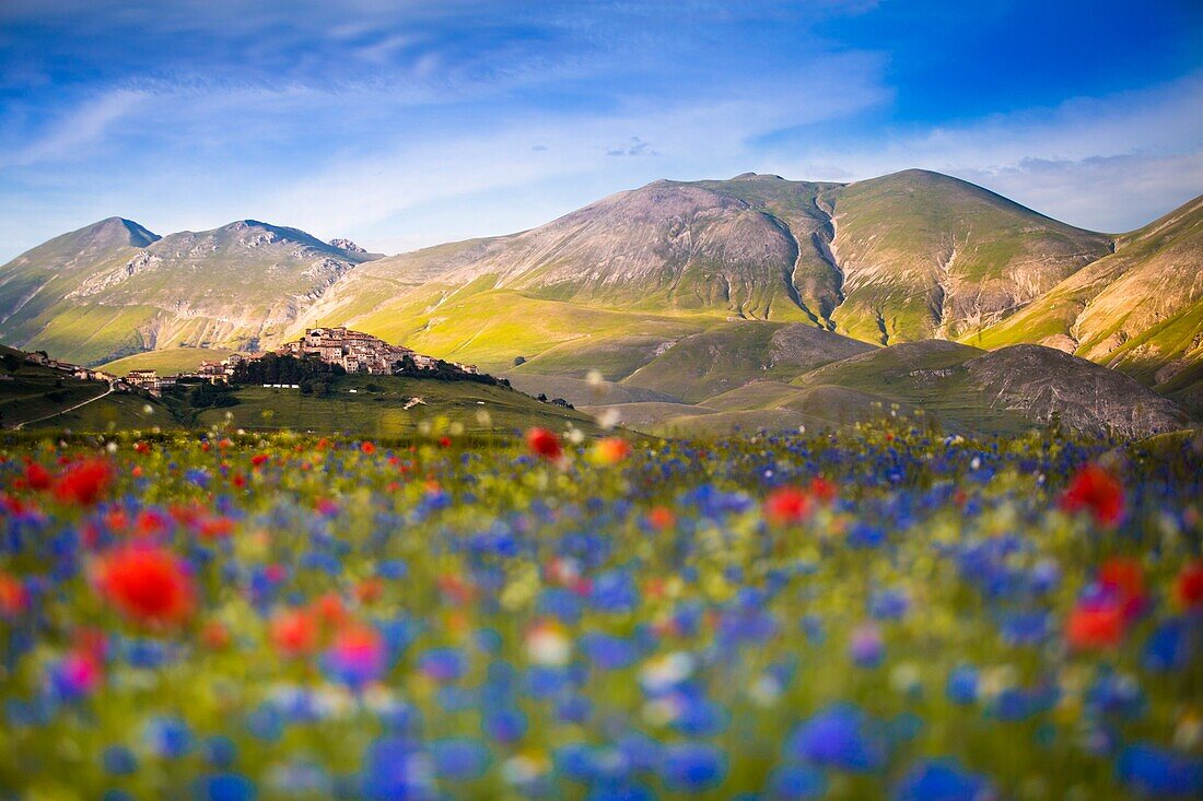 Castelluccio di Norcia, Umbria, Italy