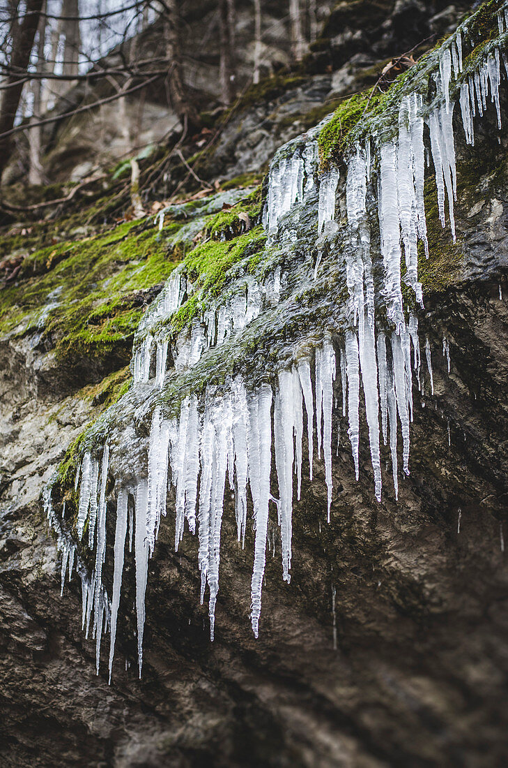 Icicles Hanging from Rocky Overhang