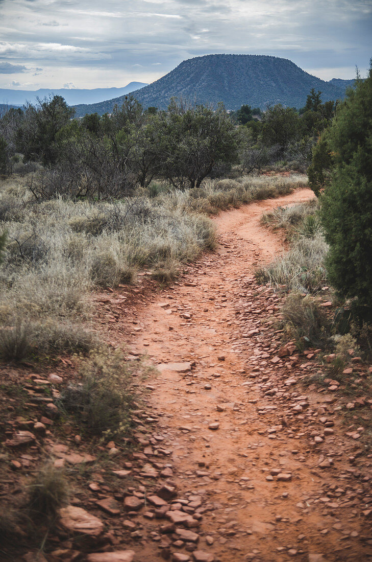 Hiking Trail Through Desert Landscape, Sedona, Arizona, USA