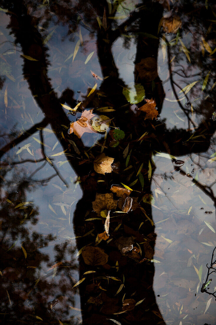 Natur Reflexionen im Wasser