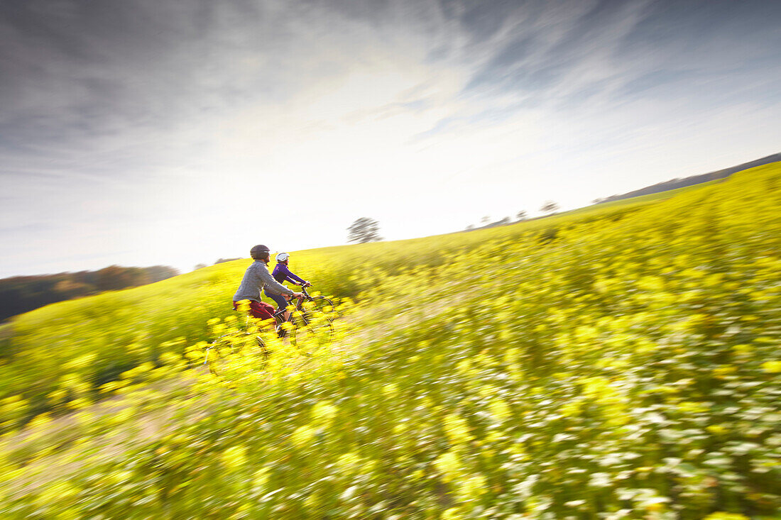 man and woman, on eBikes, cycling through mustard fields, Muensing, Upper Bavaria, Germany