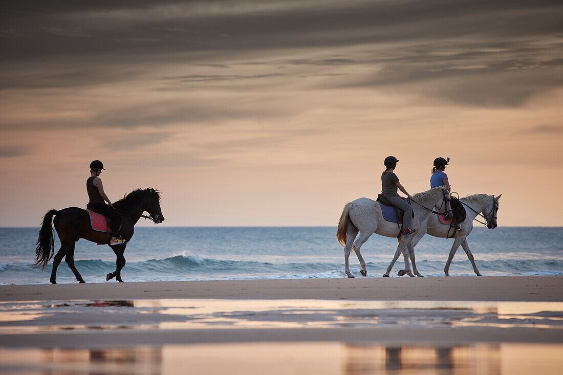 Group of horseback riders on the beach,  roche beach, andalusia, southwest coast spain, atlantc, Europe