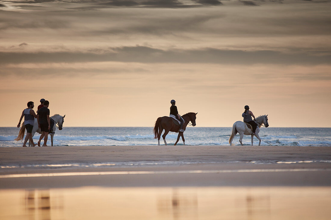 Group of horseback riders on the beach,  roche beach, andalusia, southwest coast spain, atlantc, Europe