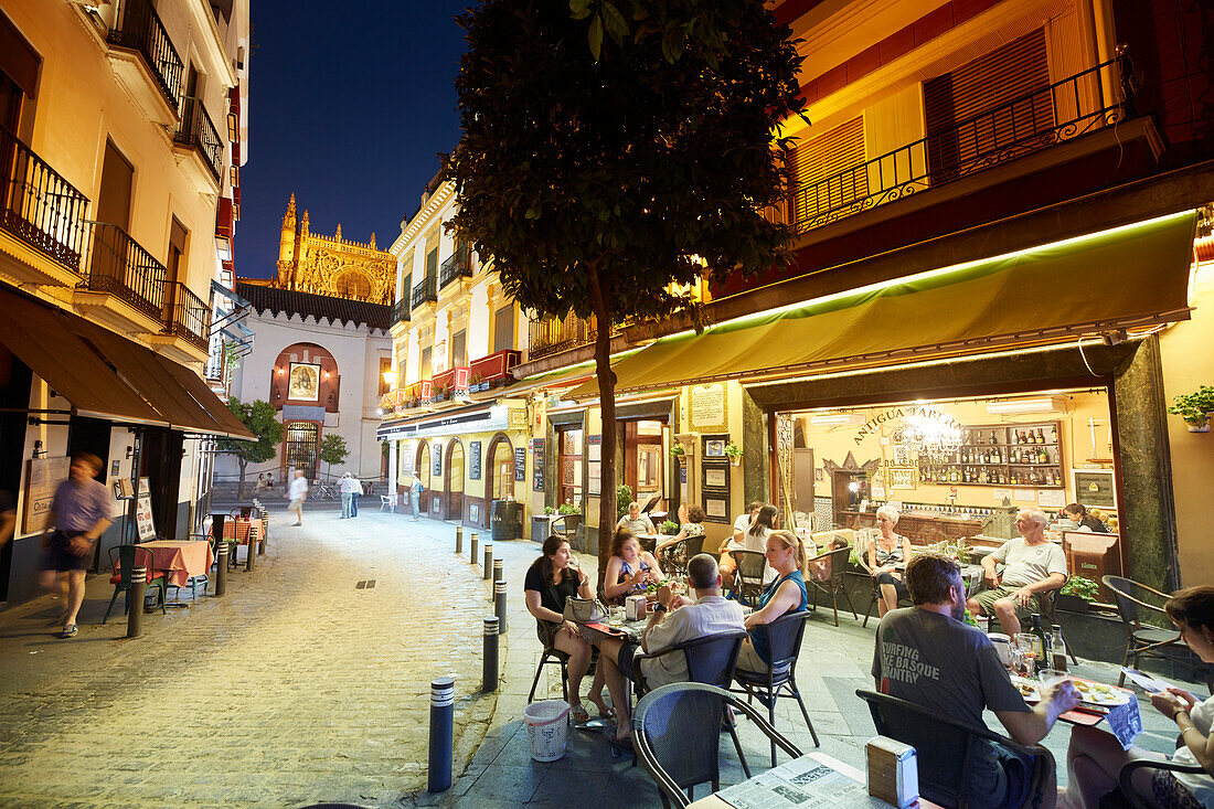 Strassencafes in der Altstadt , Sevilla, Andalusien, Spanien, Europa