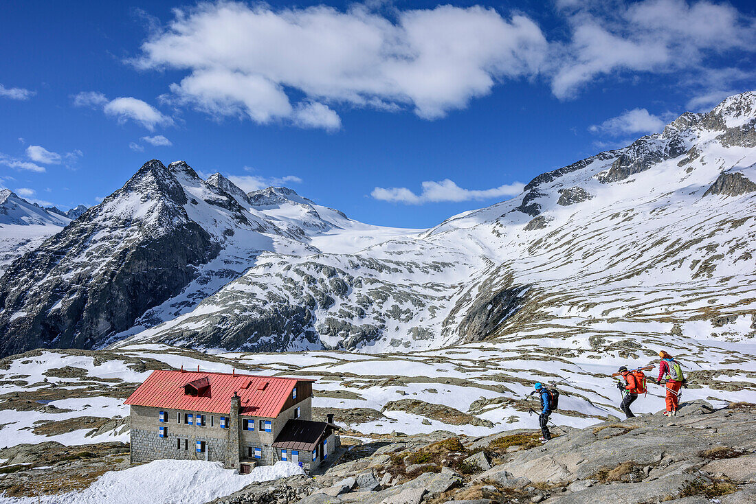 Three persons backcountry skiing descending towards hut rifugio Madrone, hut rifugio Madrone, Adamello group, Trentino, Italy