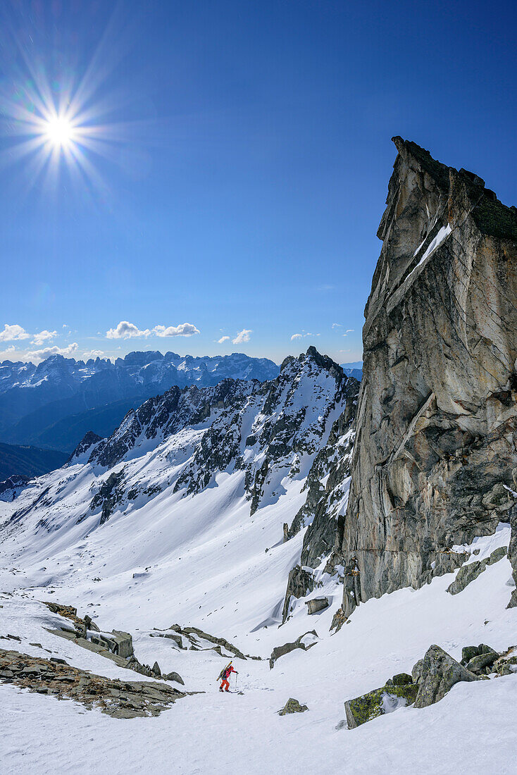 Woman backcountry skiing ascending beneath rock spire towards Cima Presanella, Presanella, Adamello group, Trentino, Italy