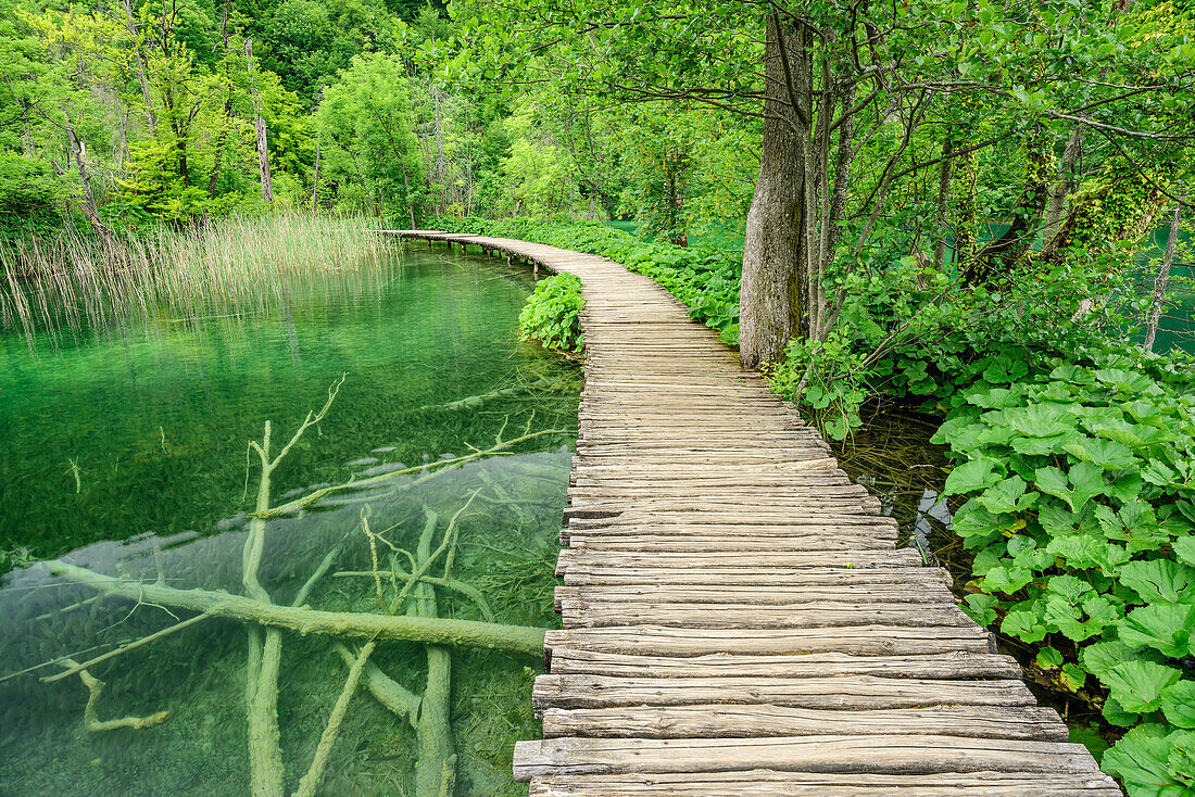 Pier in National Park Plitvice Lakes, National Park Plitvice Lakes, Plitvice, UNESCO world heritage site National Park Lake Plitvice, Croatia