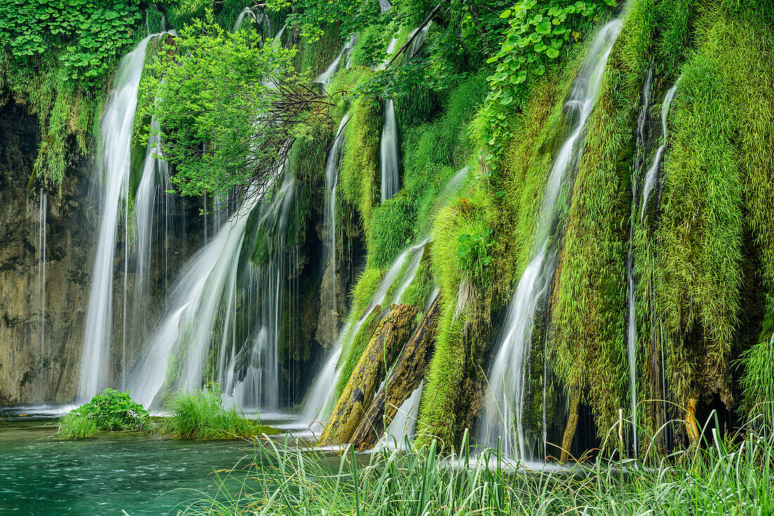 Waterfalls of Plitvice, Plitvice Lakes, National Park Plitvice Lakes, Plitvice, UNESCO world heritage site National Park Lake Plitvice, Croatia