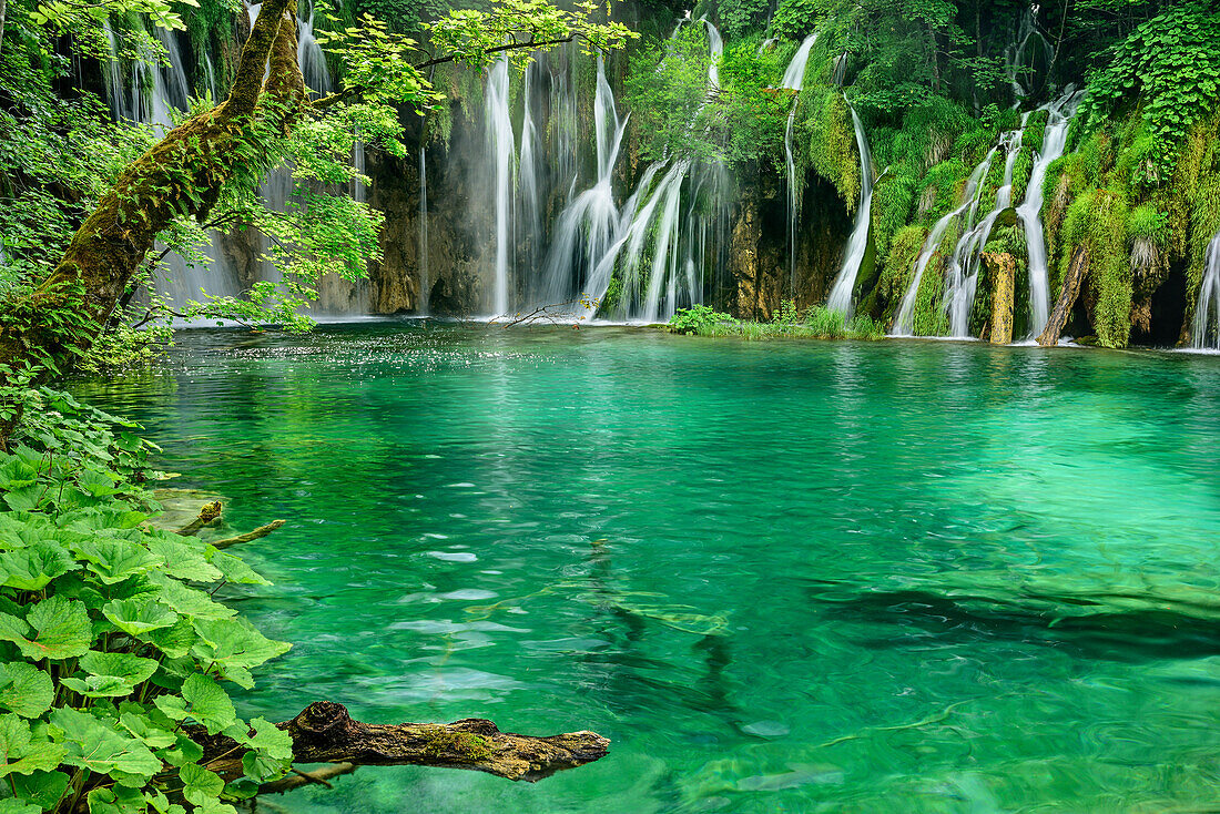 See und Wasserfälle von Plitvitz, Plitvitzer Seen, Nationalpark Plitvitzer Seen, Plitvice, UNESCO Weltnaturerbe Nationalpark Plitvitzer Seen, Kroatien