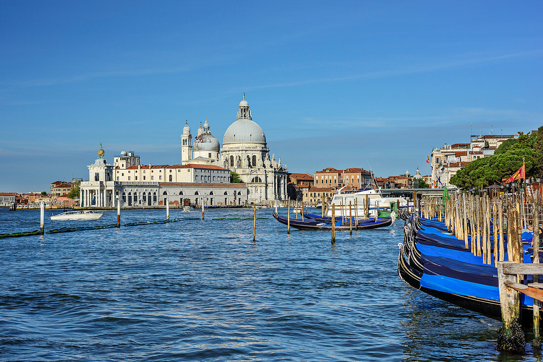 Santa Maria della Salute mit Gondeln im Vordergrund, Venedig, UNESCO Weltkulturerbe Venedig, Venetien, Italien