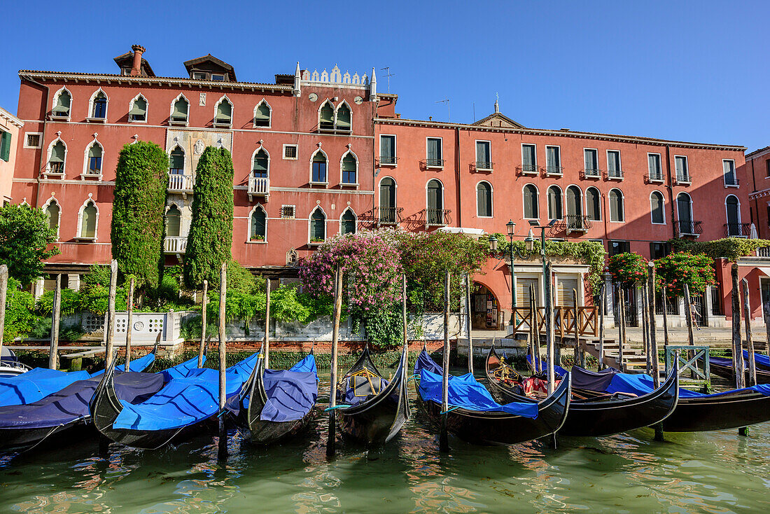 Gondeln liegen vor Palazzo am Canale Grande, Venedig, UNESCO Weltkulturerbe Venedig, Venetien, Italien
