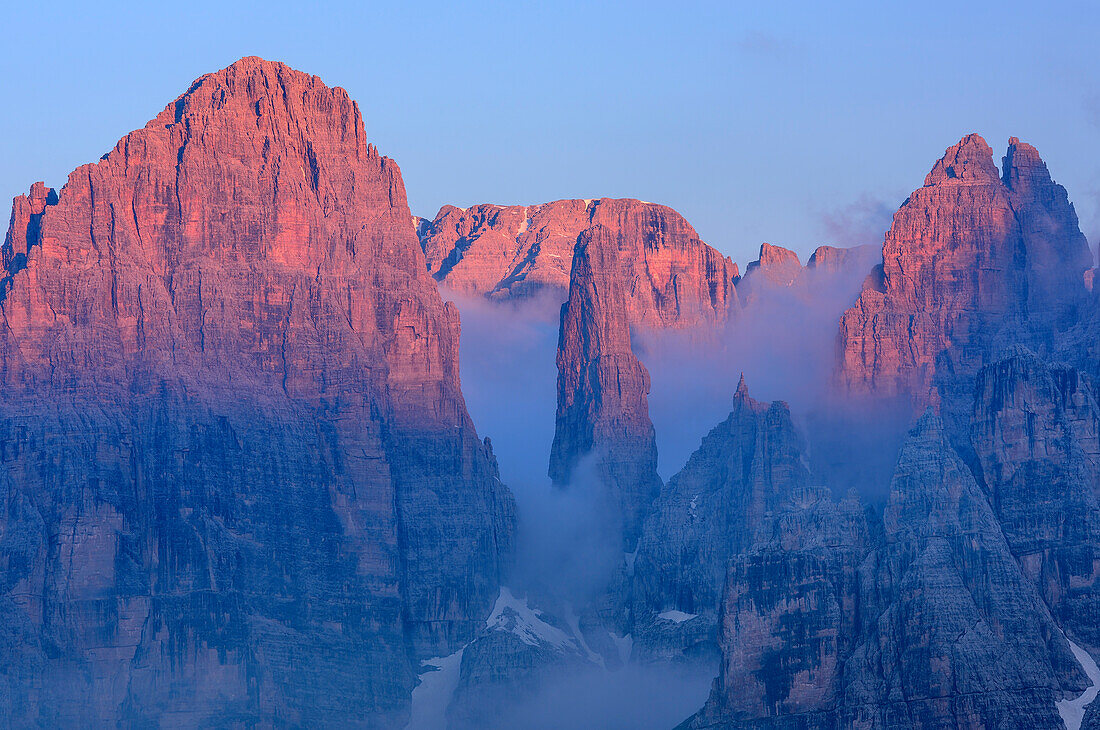 Rock crags of Brenta group with Guglia di Brenta in alpenglow, from Croz dell' Altissimo, Brenta group, UNESCO world heritage site Dolomites, Trentino, Italy