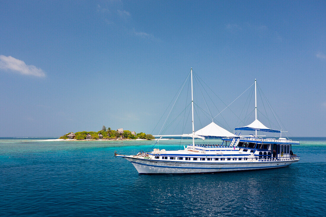 Tauchkreuzfahrtschiff Hammerhead 2, Sued Male Atoll, Malediven