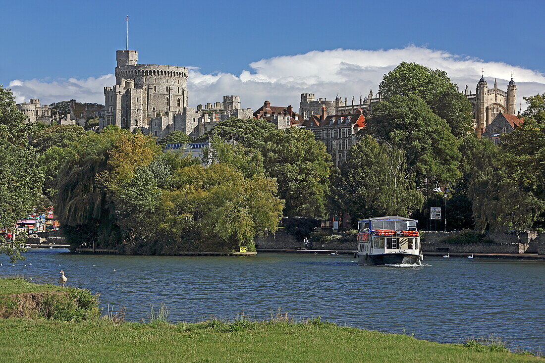 View from Brocas meadow, Eton, over the River Thames to Windsor Castle, Windsor, Berkshire, England