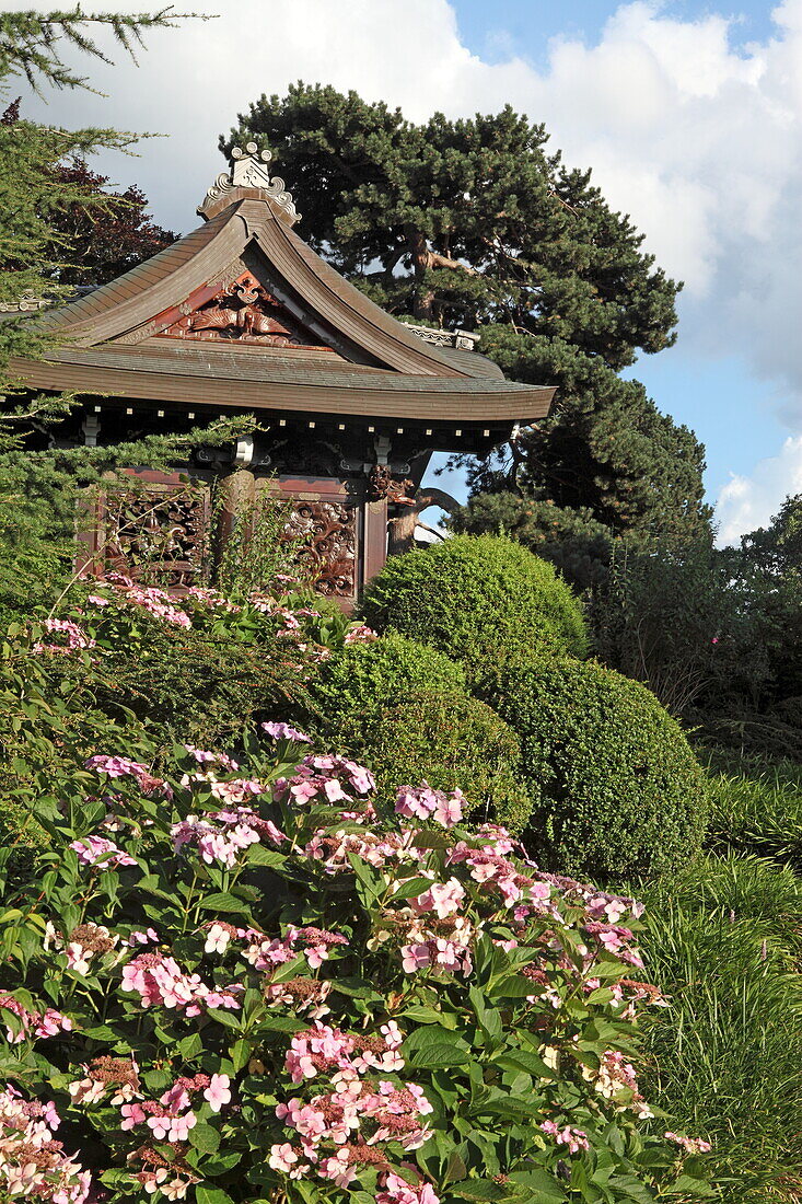 Japanese Chokushi-Mon temple, Royal Botanic Gardens, Kew, Richmond upon Thames, London, England
