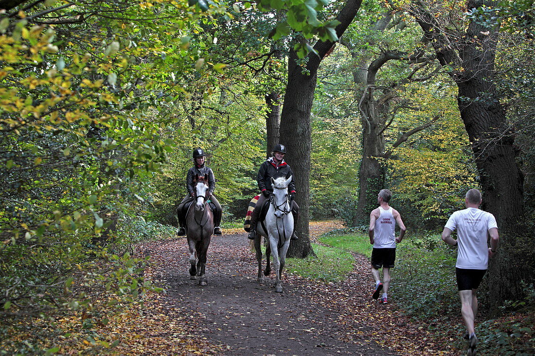 Reiter und Jogger, Epping Forest, Epping, London, England