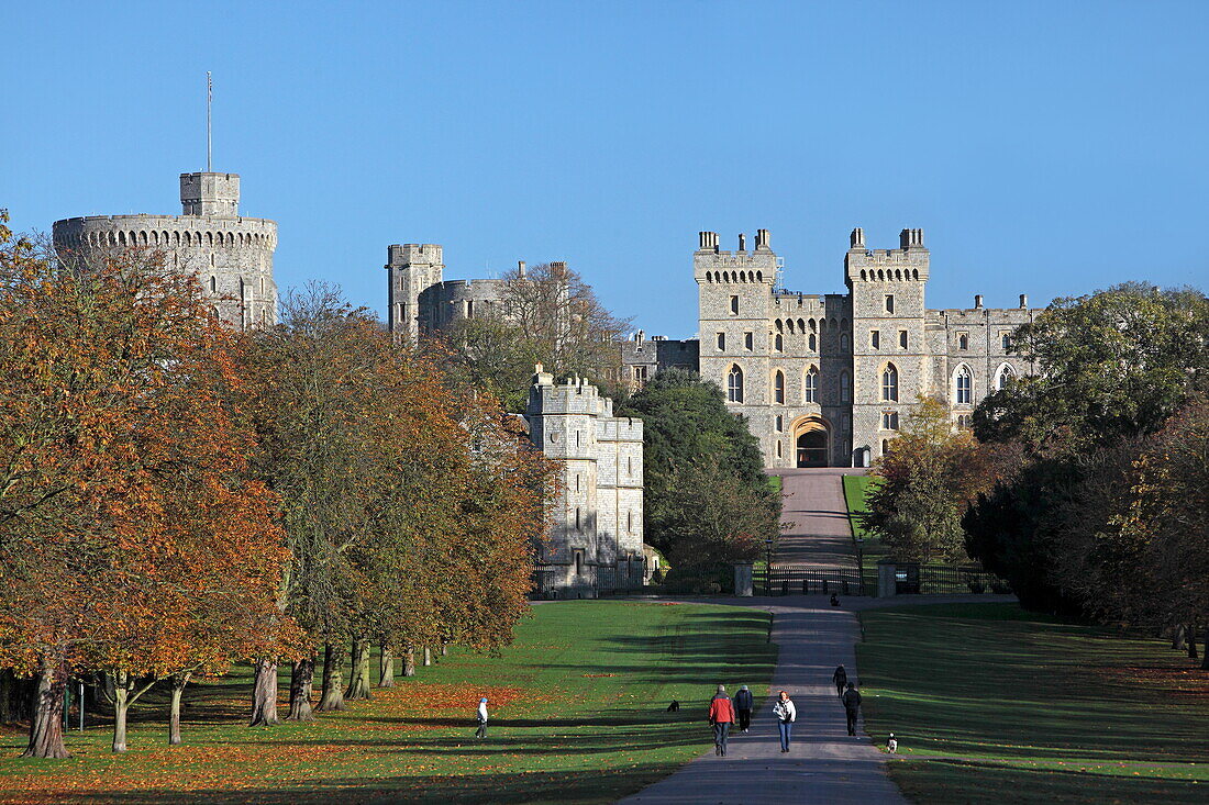 The Long Walk, Windsor Great Park und Windsor Castle, Berkshire, England