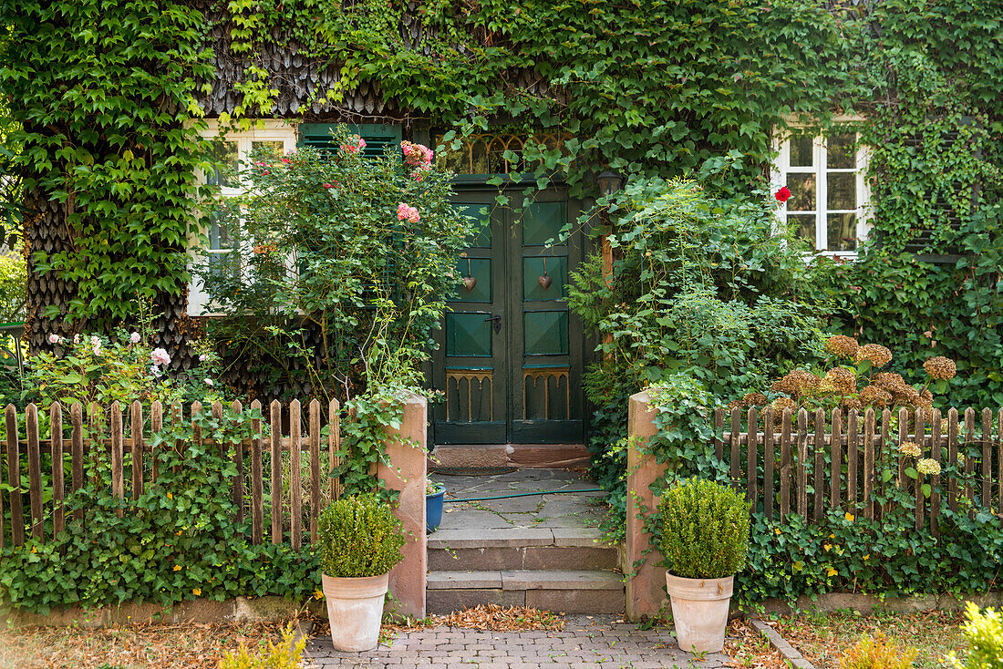 Enchanted, green overgrown home entrance, Ziegenhain, Hesse, Germany, Europe