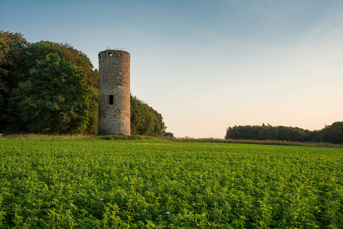 'Spießturm, the site of Germany's first country parliament meeting called ''Landtag'', Spießturm close to Spieskappel, Hesse, Germany, Europe'