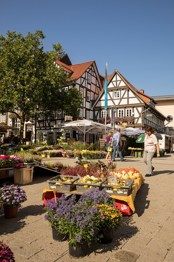 Farmers market  at Linggplatz, Bad Hersfeld, Hesse, Germany, Europe