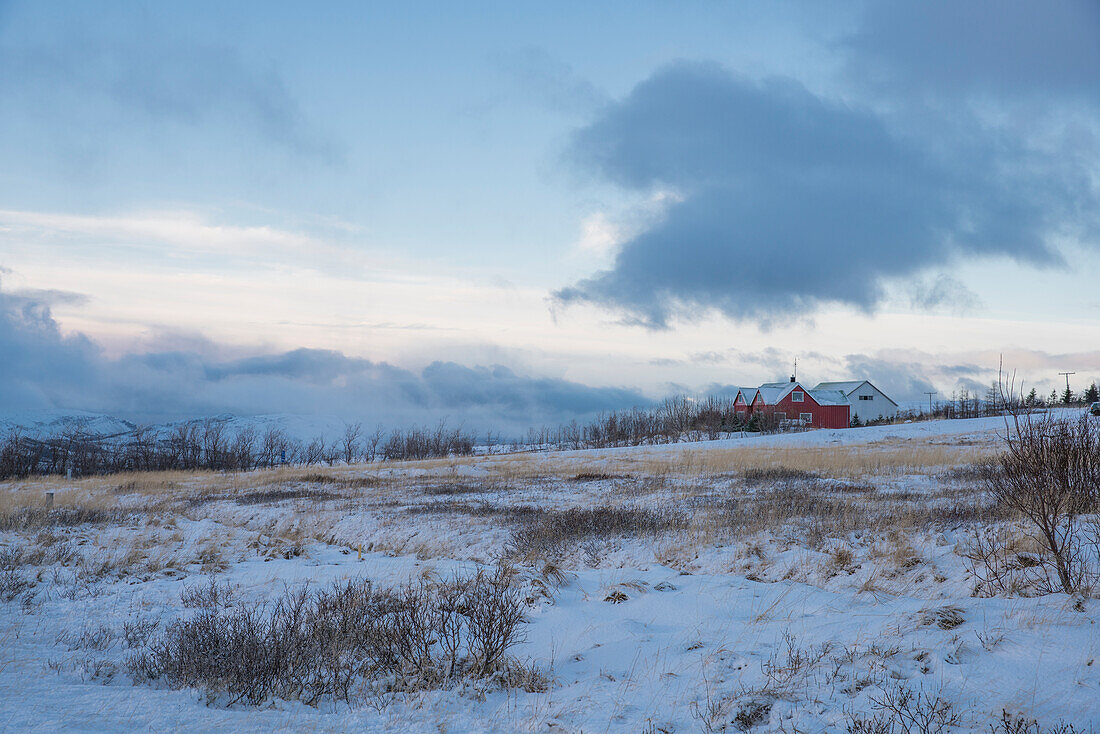 Snowy landscape at pingvallavegur (Thingvellir) Road 36 in winter, near Reykvavik, Iceland, Europe