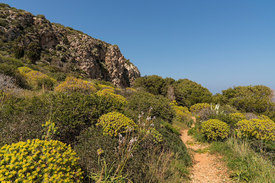 Hiking trail through the green shrubs and pristine nature, Levanzo Island, Aegadian Islands, near Trapani, Sicily, Italy, Europe