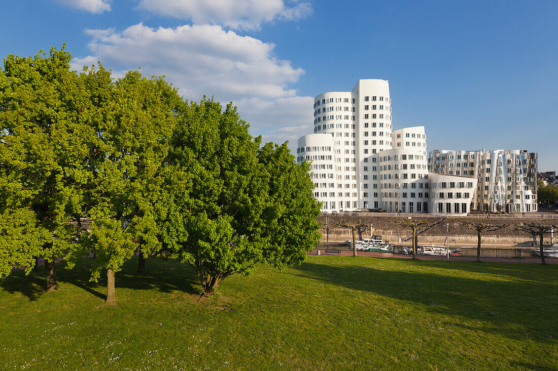 Neuer Zollhof (Architect: F.O. Gehry), Medienhafen, Duesseldorf, North Rhine-Westphalia, Germany