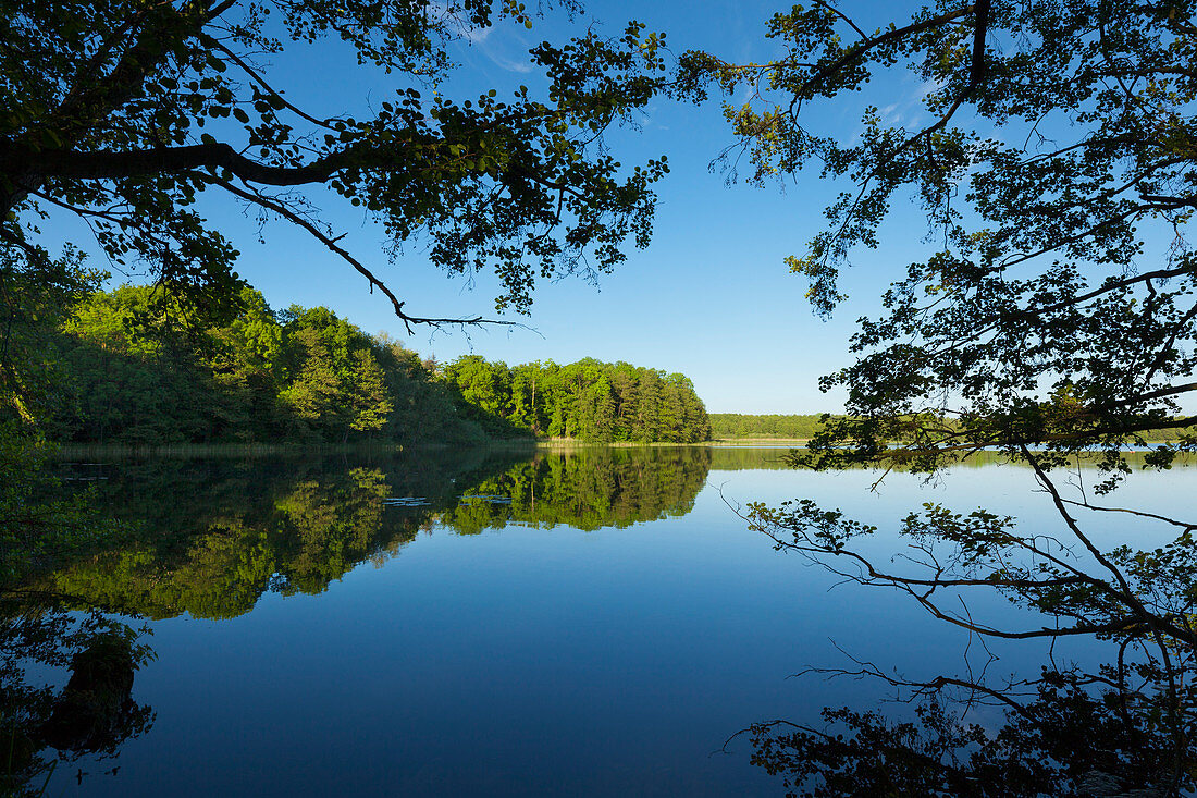 Blick über den See zum Kloster Malchow, Müritz-Elde-Wasserstrasse, Mecklenburgische Seenplatte, Mecklenburg-Vorpommern, Deutschland