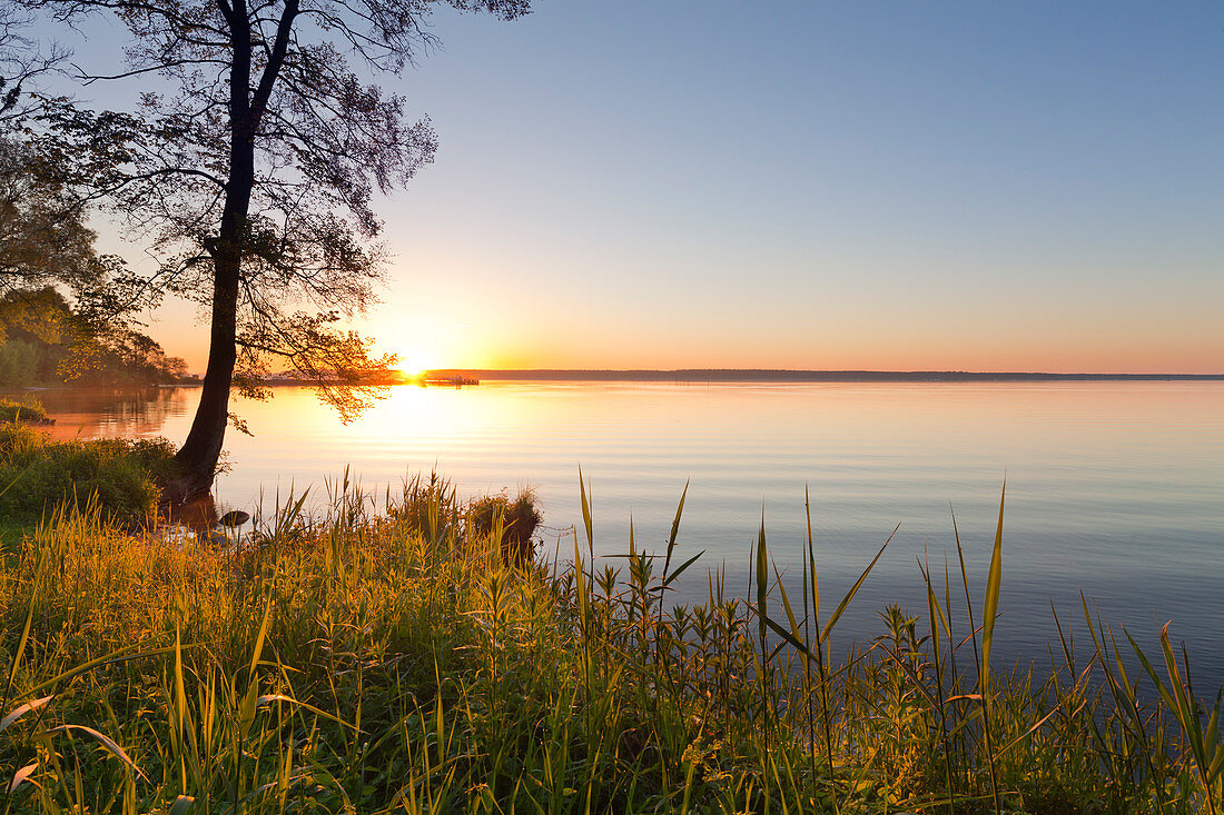 Morning mood at lake Mueritz, Mueritz-Elde-Wasserstrasse, Mecklenburgische Seenplatte, Mecklenburg-West Pomerania, Germany