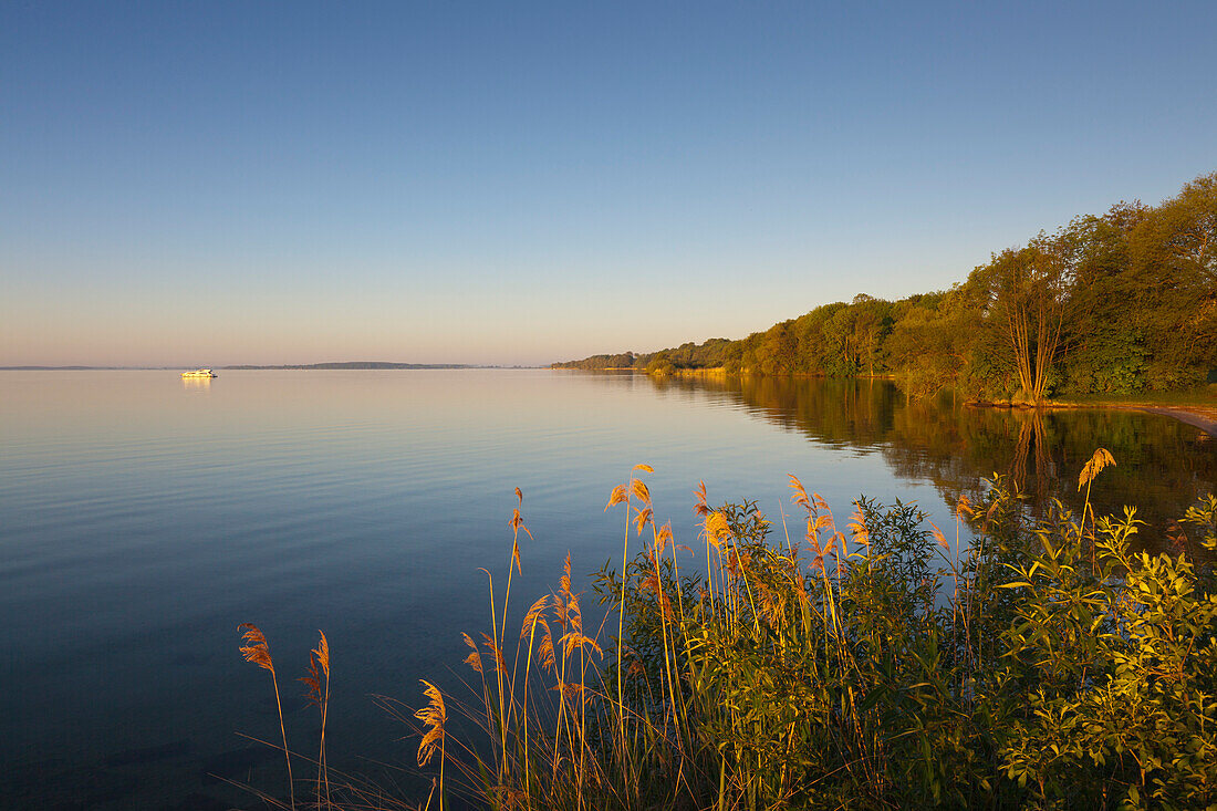 Morning mood at lake Mueritz, Mueritz-Elde-Wasserstrasse, Mecklenburgische Seenplatte, Mecklenburg-West Pomerania, Germany