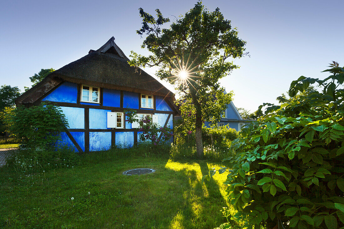 House with thatched roof, Warthe, Lieper Winkel, Usedom, Baltic Sea, Mecklenburg-West Pomerania, Germany