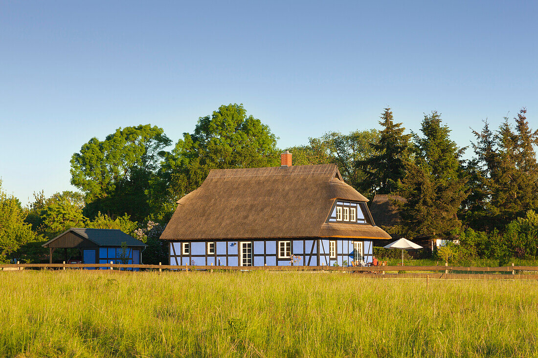 House with thatched roof, Warthe, Lieper Winkel, Usedom, Baltic Sea, Mecklenburg-West Pomerania, Germany