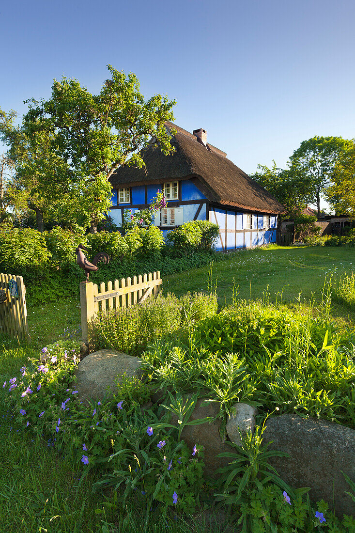 Reetdachhaus, Warthe, Lieper Winkel, Usedom, Ostsee, Mecklenburg-Vorpommern, Deutschland