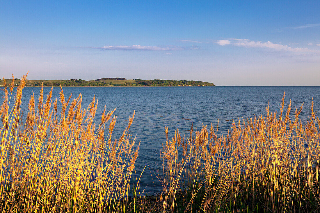 Blick über die Hagensche Wiek zur Halbinsel Mönchgut, Rügen, Ostsee, Mecklenburg-Vorpommern, Deutschland