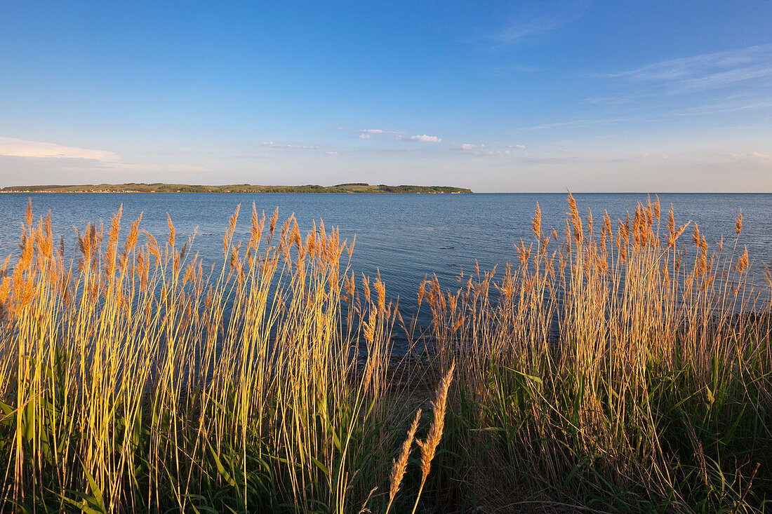 View over Hagensche Wiek to Moenchgut peninsula, Ruegen,  Baltic Sea, Mecklenburg-West Pomerania, Germany