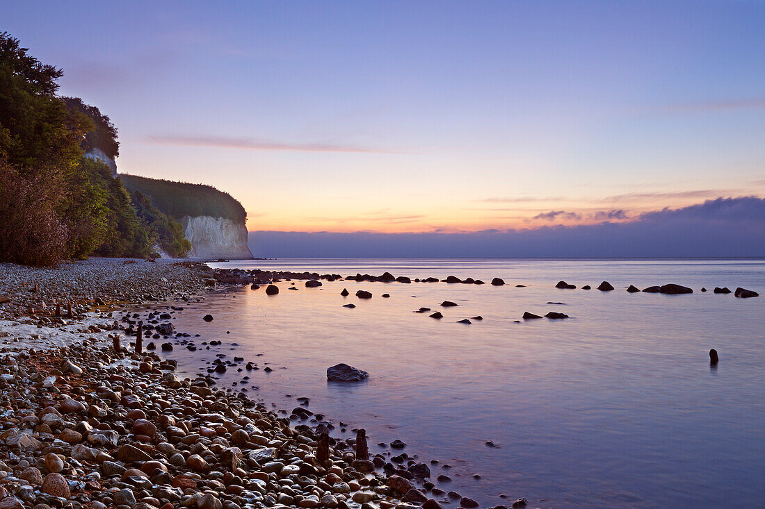 Morning mood at the chalk rocks, Jasmund National Park, Ruegen,  Baltic Sea, Mecklenburg-West Pomerania, Germany