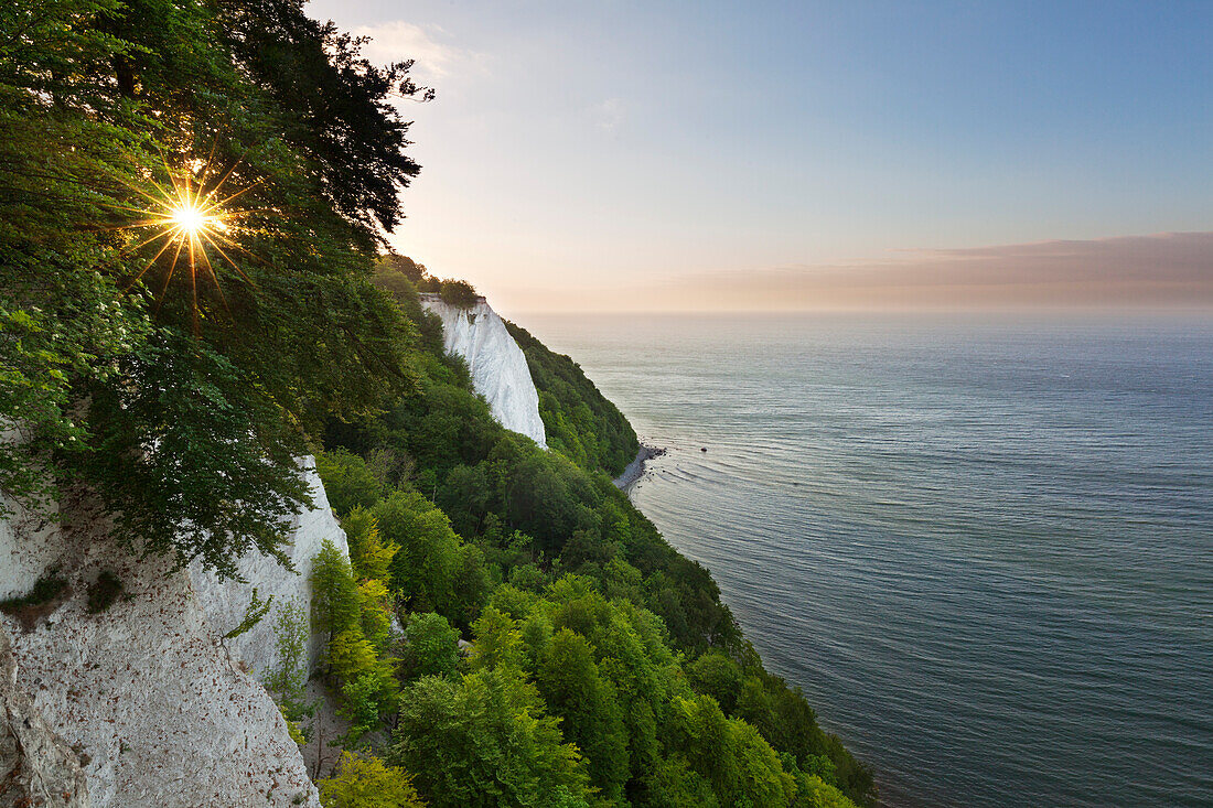 View to the Koenigsstuhl rock, Jasmund National Park, Ruegen,  Baltic Sea, Mecklenburg-West Pomerania, Germany