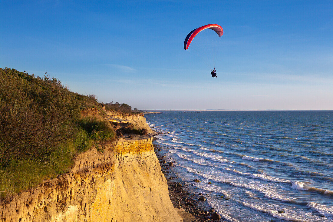 Paraglider at Hohes Ufer near Ahrenshoop,  Baltic Sea, Mecklenburg-West Pomerania, Germany