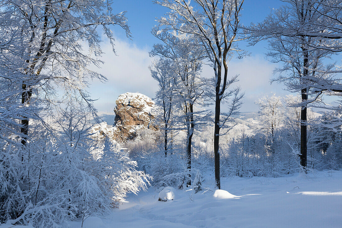 Blick zum Bornstein, Bruchhauser Steine, bei Olsberg, Rothaarsteig, Rothaargebirge, Sauerland, Nordrhein-Westfalen, Deutschland