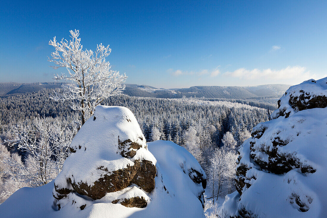 Blick vom Feldstein, Bruchhauser Steine, bei Olsberg, Rothaarsteig, Rothaargebirge, Sauerland, Nordrhein-Westfalen, Deutschland