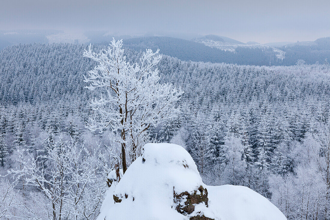 Blick vom Feldstein, Bruchhauser Steine, bei Olsberg, Rothaarsteig, Rothaargebirge, Sauerland, Nordrhein-Westfalen, Deutschland