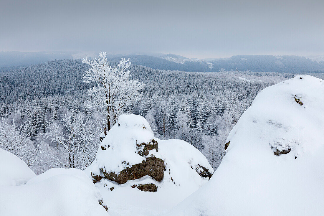 Blick vom Feldstein, Bruchhauser Steine, bei Olsberg, Rothaarsteig, Rothaargebirge, Sauerland, Nordrhein-Westfalen, Deutschland